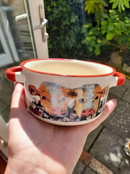 Photo of free Cow dish (Dun Laoghaire A96) #1