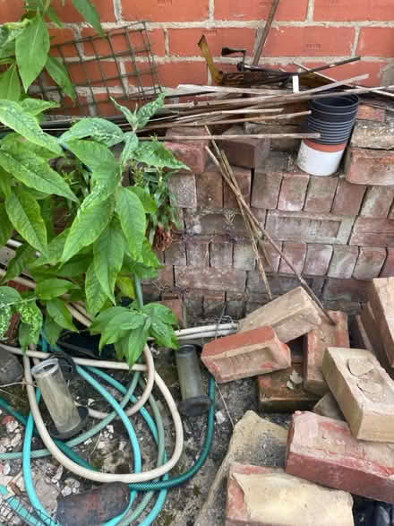 Photo of free Red bricks (New Barnet EN4) #1
