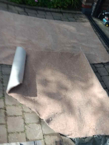 Photo of free Carpet offcuts for weed suppression or a tiny loo (Fords Farm RG30) #1