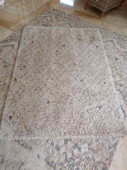 Photo of free Rug (Wistaston CW2) #1