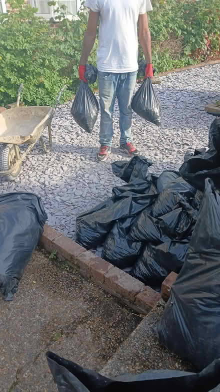 Photo of free blue/grey slate chippings (off South Norwood Hill) #1