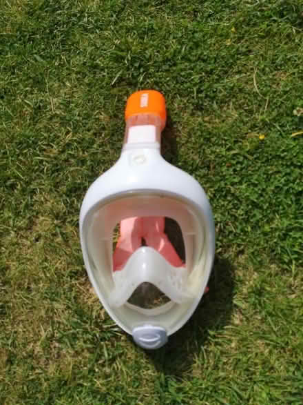 Photo of free Snorkel face mask XS (Fareham PO15) #1