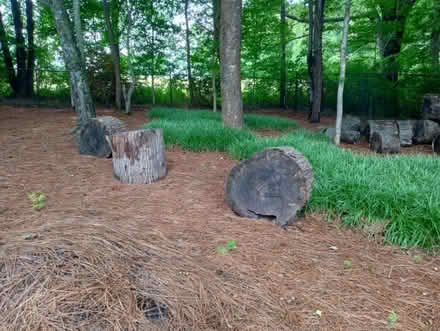 Photo of free Seasoned wood (Kernersville by New Food Lion) #3