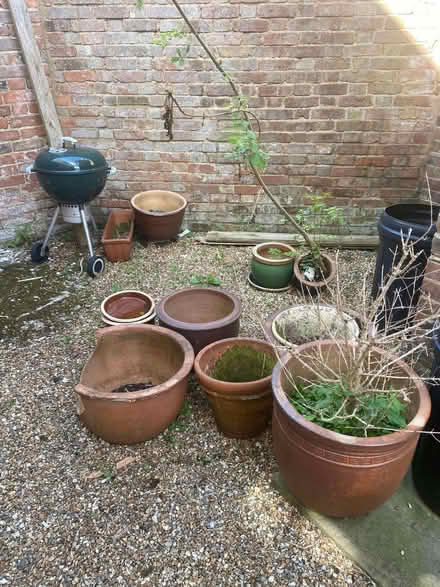Photo of free plant pots (Marden TN12) #1