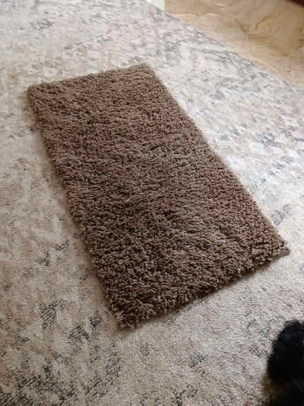 Photo of free Rug (Wistaston CW2) #1