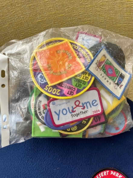 Photo of free Lots of Girl Guide badges (Mapperley NG3) #2