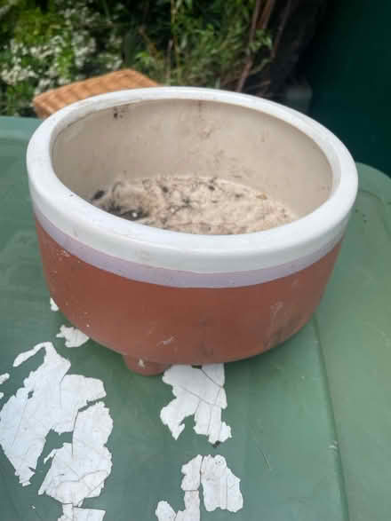 Photo of free Bulb bowl (Lee green) #2