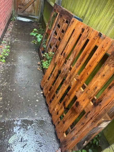 Photo of free 2x Palets (Eve Hill DY1) #1