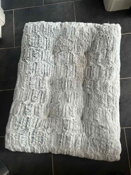 Photo of free Dog bed (Holbrook, Belper, DE56) #1
