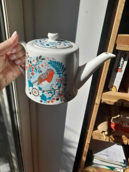 Photo of free Teapot with bird (robin) (Dun Laoghaire A96) #1