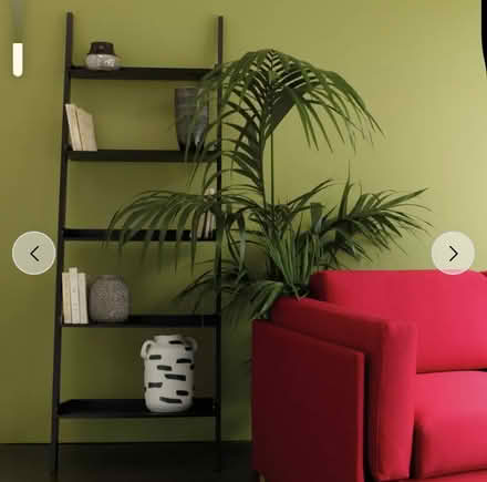 Photo of free Black Habitat ladder shelf (Ham TW10) #1