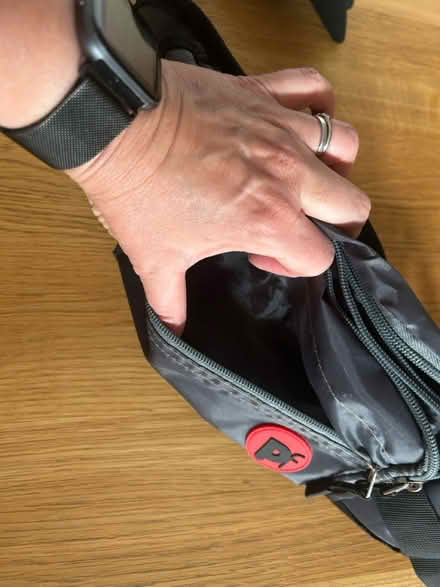 Photo of free Dog walking bum bag (Holbrook, Belper, DE56) #3