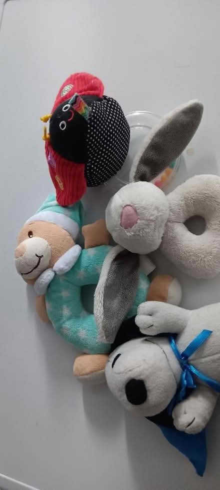 Photo of free Baby Soft Toys (Rakegate Estate WV10) #2