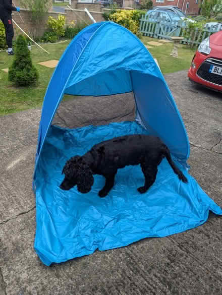 Photo of free Beach shade (Sheffield intake S12 2BT) #1