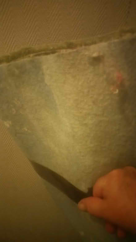 Photo of free lime green carpet (Parson cross S5) #3