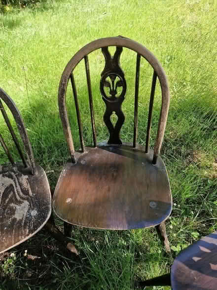 Photo of free Four dark Ercol windsor dining chairs (Fishers Green SG1) #4