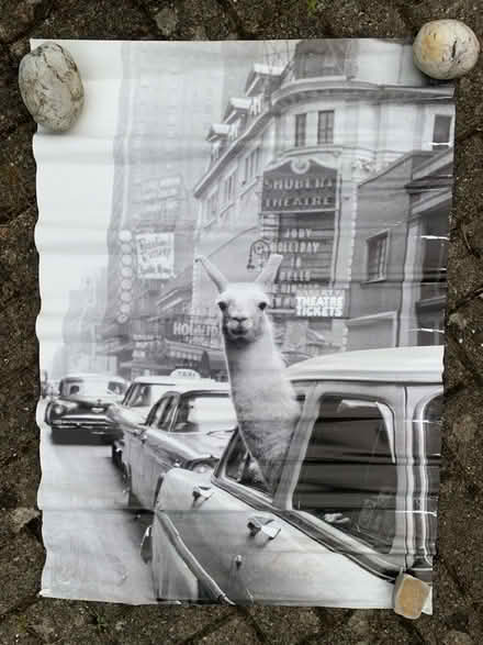 Photo of free Posters and pictures (AL2 / SG6) #4