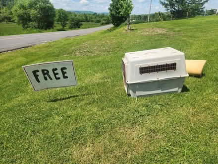 Photo of free Dog crate (VIRGIL) (virgil) #3