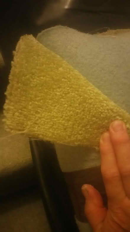 Photo of free lime green carpet (Parson cross S5) #1