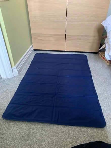 Photo of free Pet mat - Large (Garston L19) #1