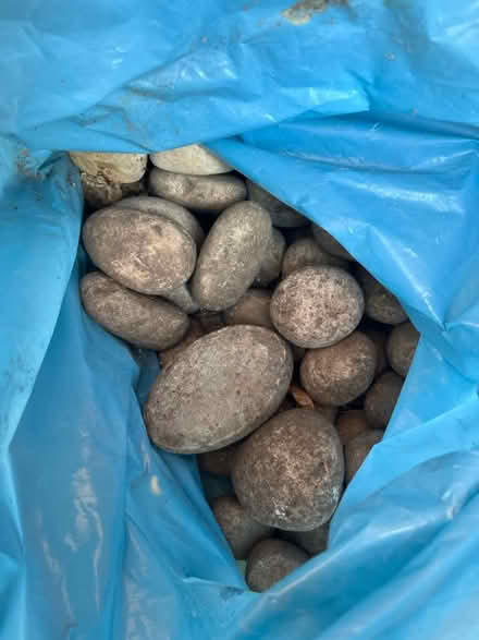 Photo of free Garden cobble stones (Wanstead High Street) #1