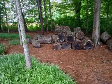 Photo of free Seasoned wood (Kernersville by New Food Lion) #2