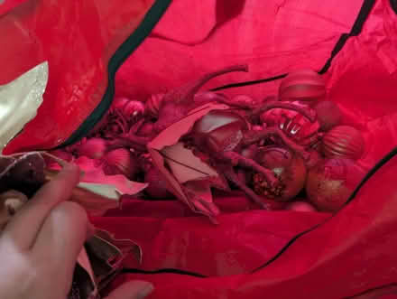Photo of free Pink and gold Christmas decorations (Freehold LA1) #4