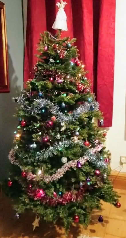 Photo of free Christmas tree and decorations (Arboretum, NG1) #1