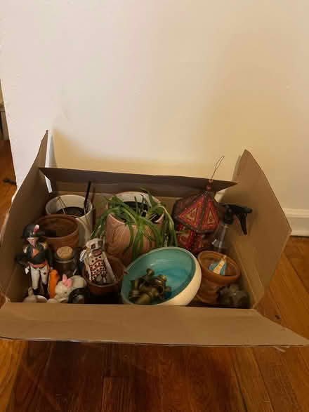 Photo of free Miscellaneous planters pots & decor (Flatbush/PLG) #1