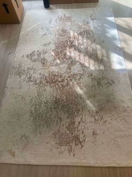 Photo of free Area Rug (West Brompton SW6) #2