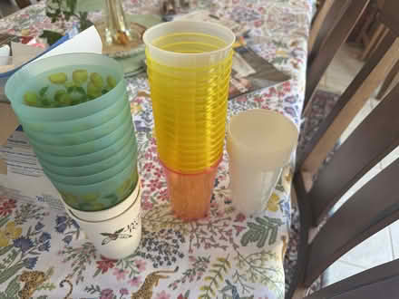 Photo of free Plastic cups (Alameda) #1