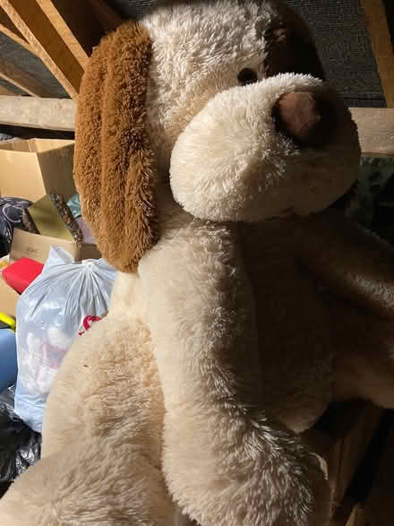 Photo of free Cuddly toy dog large (Alvechurch B48) #2