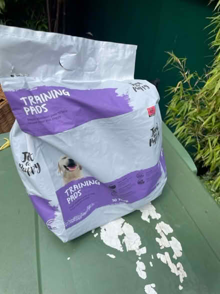 Photo of free Puppy training pads (Lee green) #1