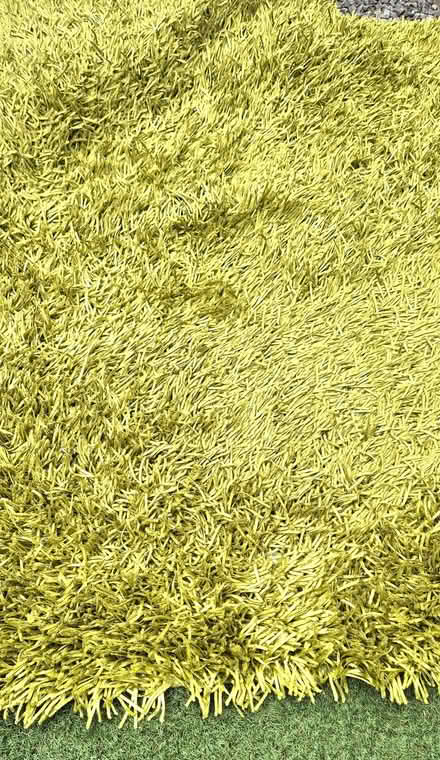 Photo of free Green noodle rug (Chorlton M21) #1