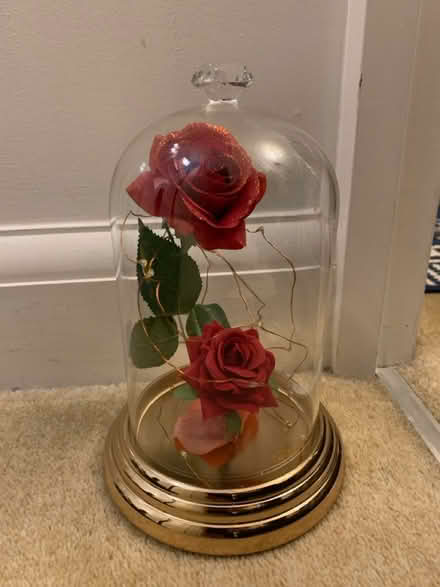 Photo of free Decorative light (Hereford, HR2, Ross road) #1