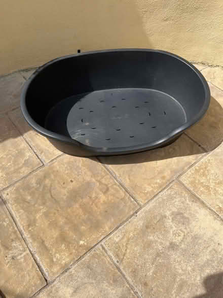 Photo of free Dog bed (Kingsway) #1