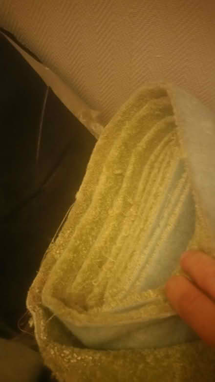 Photo of free lime green carpet (Parson cross S5) #2