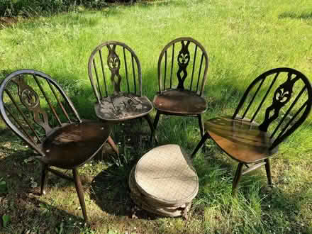 Photo of free Four dark Ercol windsor dining chairs (Fishers Green SG1) #1