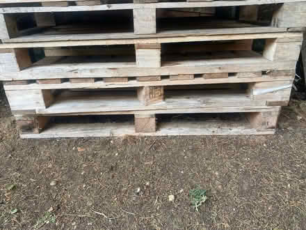 Photo of free 4 Pallets (Guildford, GU2) #1
