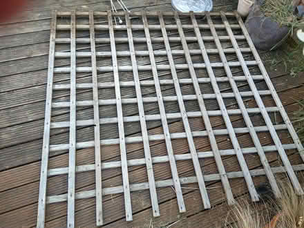 Photo of free Trellis (Malvern Vale WR14) #1
