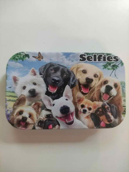 Photo of free Cute dog tin (Weybridge, KT13) #1