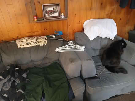 Photo of free Dry cabin full of items (Off Frank Street) #4