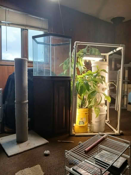 Photo of free Dry cabin full of items (Off Frank Street) #1