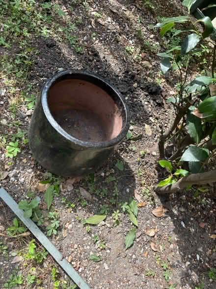 Photo of free Large garden pot (SE17) #1