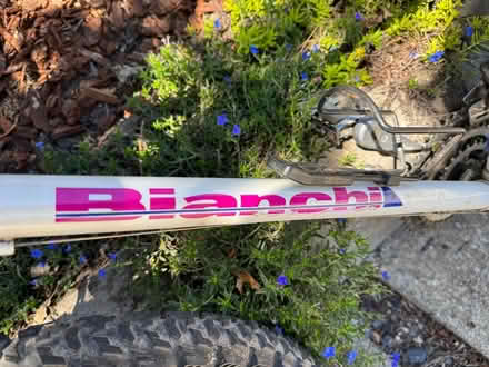 Photo of free Bicycles (Greenlake) #4
