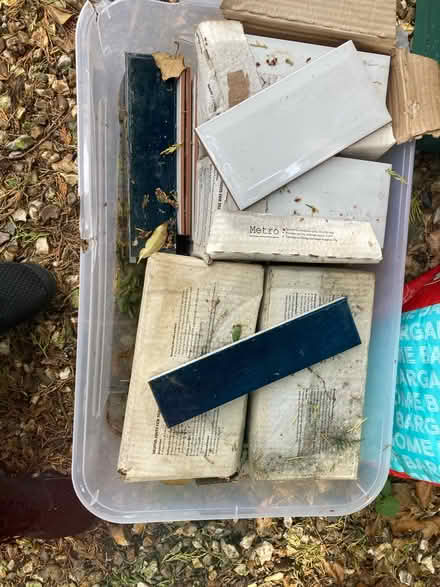 Photo of free Wall Tiles (Ledsham) #1
