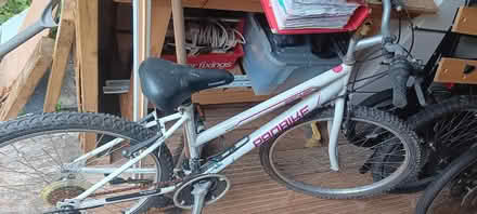 Photo of free Bicycles x 2 (Rakegate Estate WV10) #3