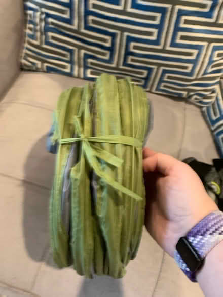 Photo of free Crinkly cat tunnel toy (Columbia Heights) #2