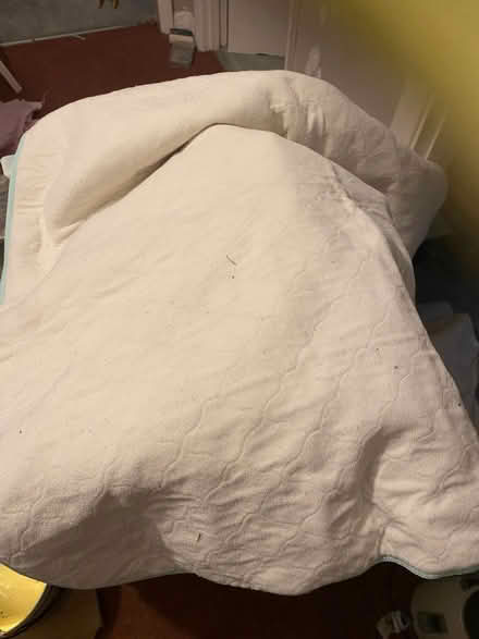 Photo of free Washable bed pad (Wormbridge HR2) #1