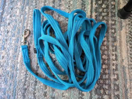 Photo of free Dog Long Line/ Horse Lead (Stanford-Le-Hope SS17) #1